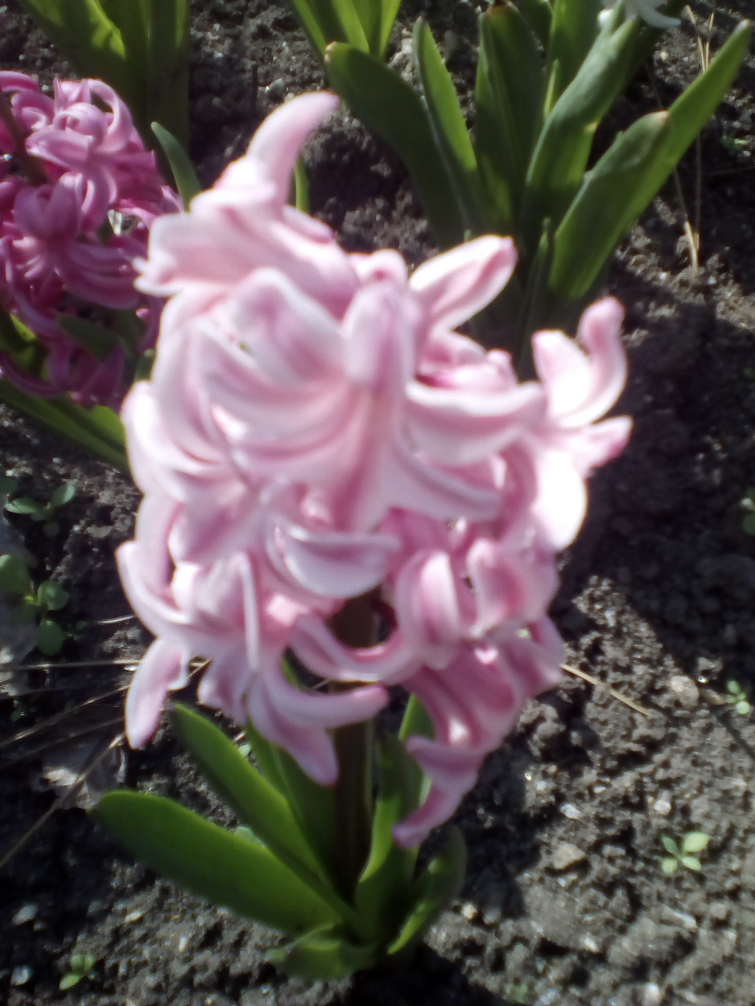 Profile picture for user Toma23