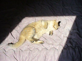 Profile picture for user mytranguyet