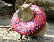 Profile picture for user rlopezg28