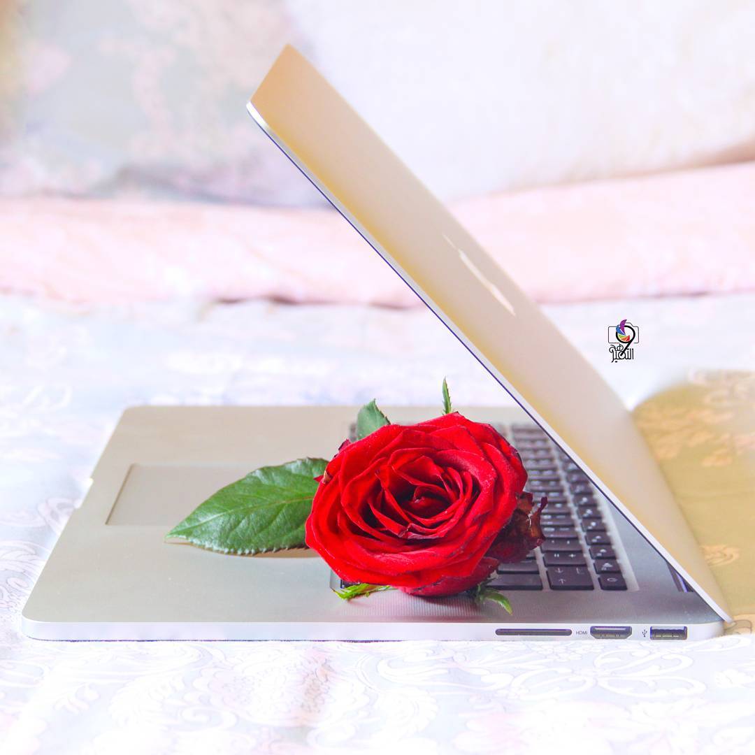 Profile picture for user Norah_542