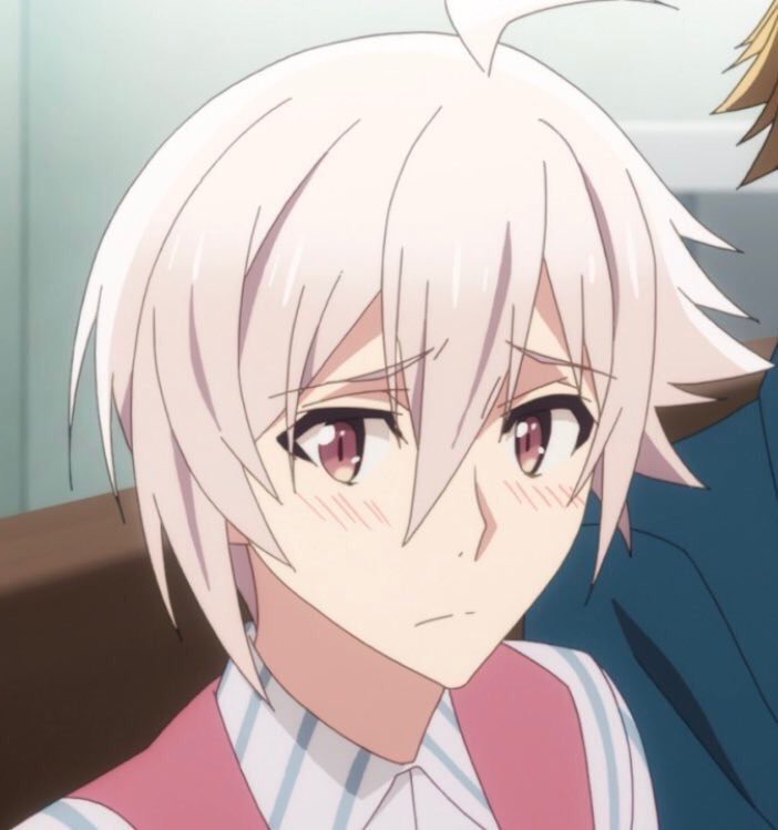 Profile picture for user Saharacchi31