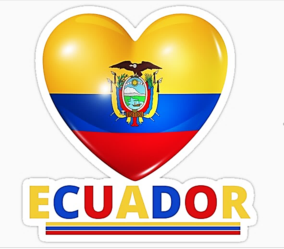 Profile picture for user DianaGonzalezV