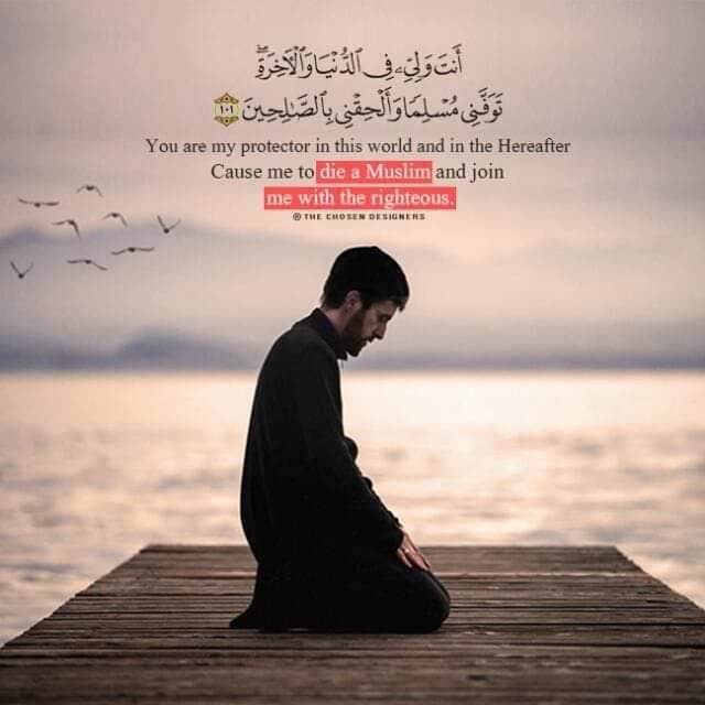 Profile picture for user MohammedErguyby