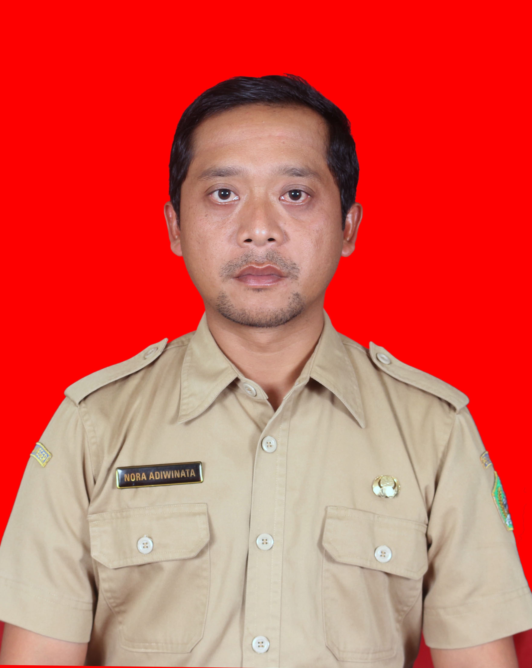 Profile picture for user Adiwinata