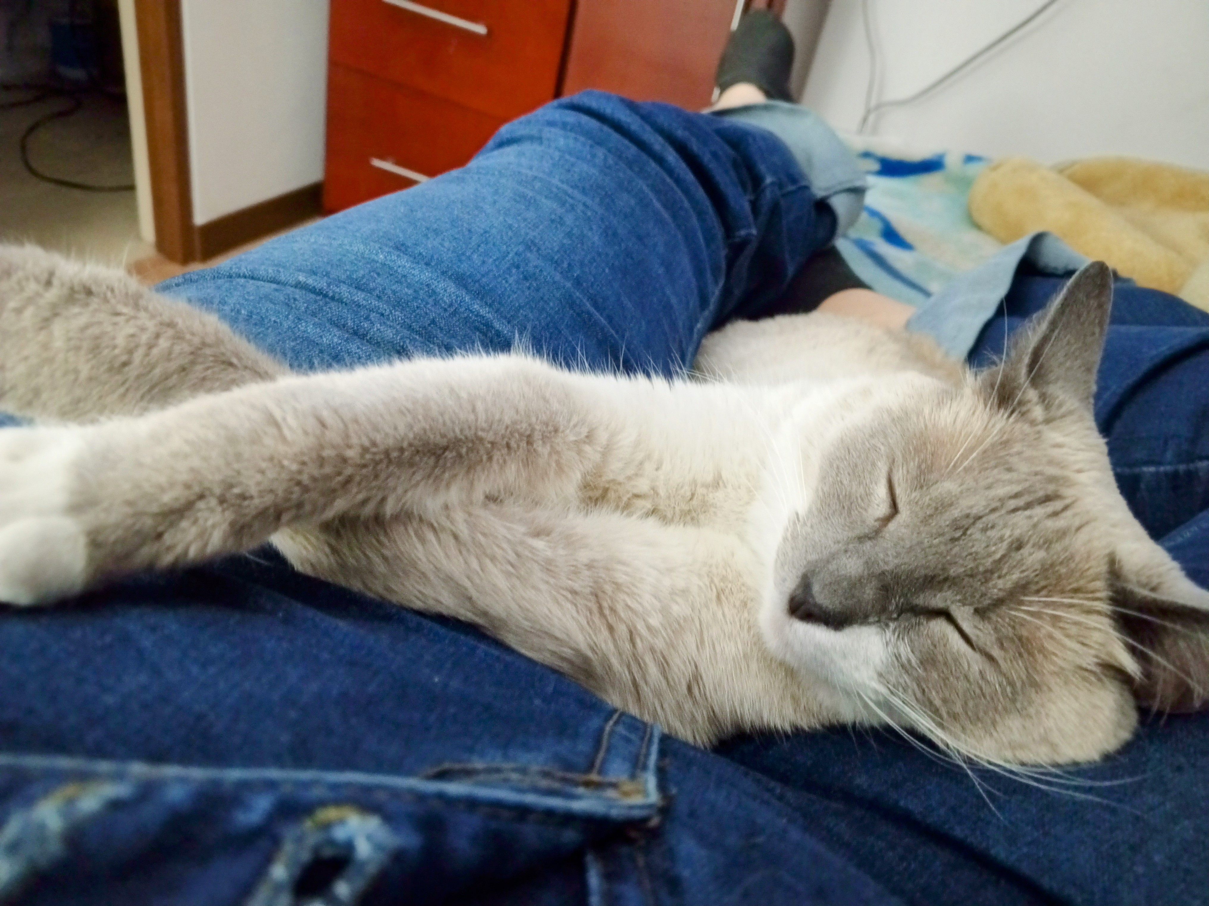 Profile picture for user ProfeDianita2021