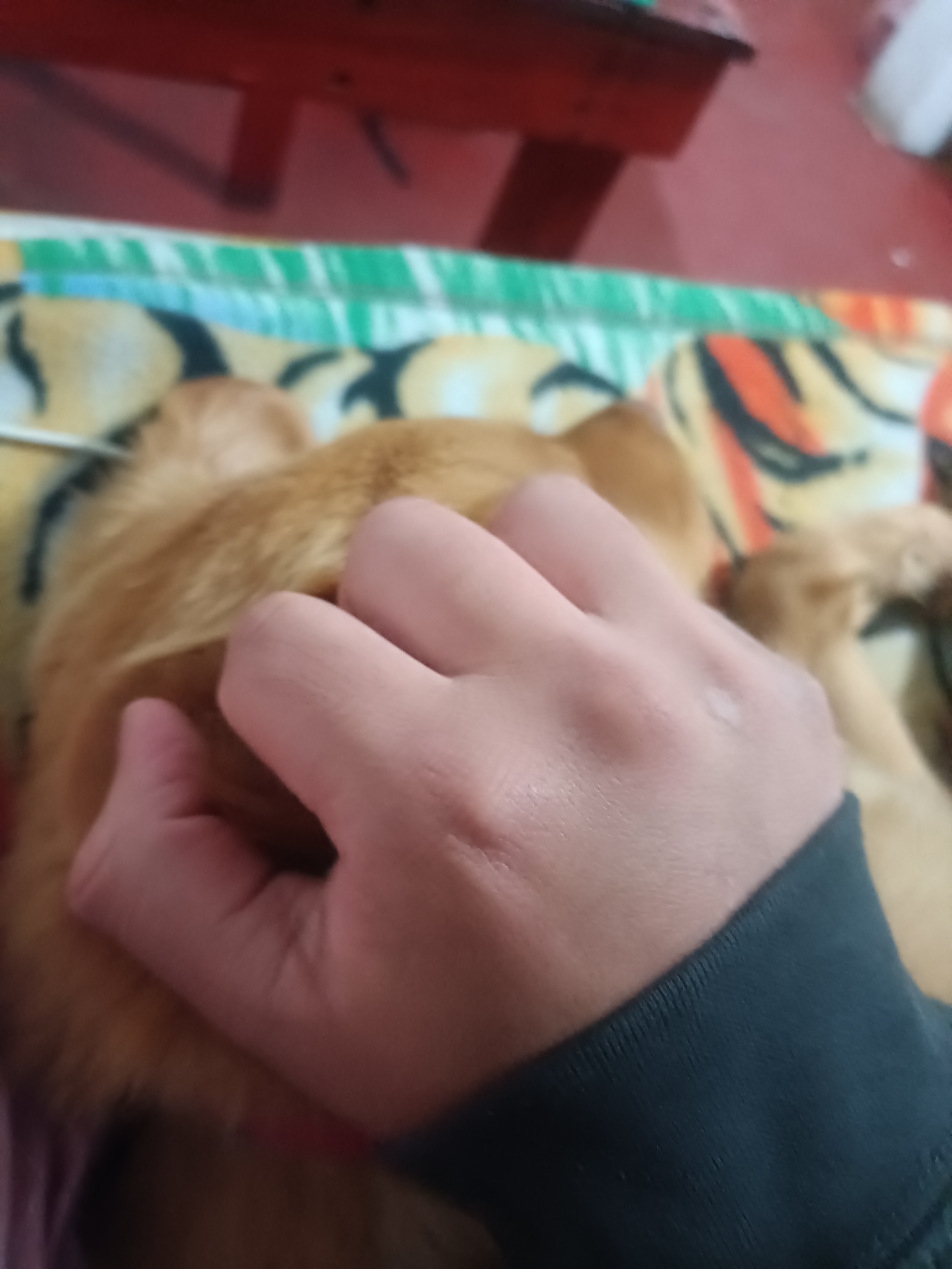 Profile picture for user angeola