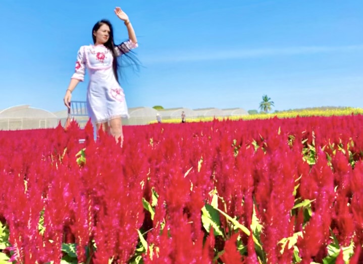 Profile picture for user sasiprapha19851985