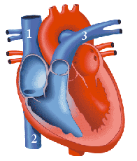 Profile picture for user norobio123