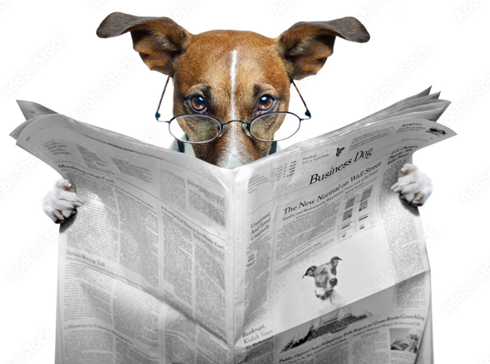 Profile picture for user teacherorlandoonline