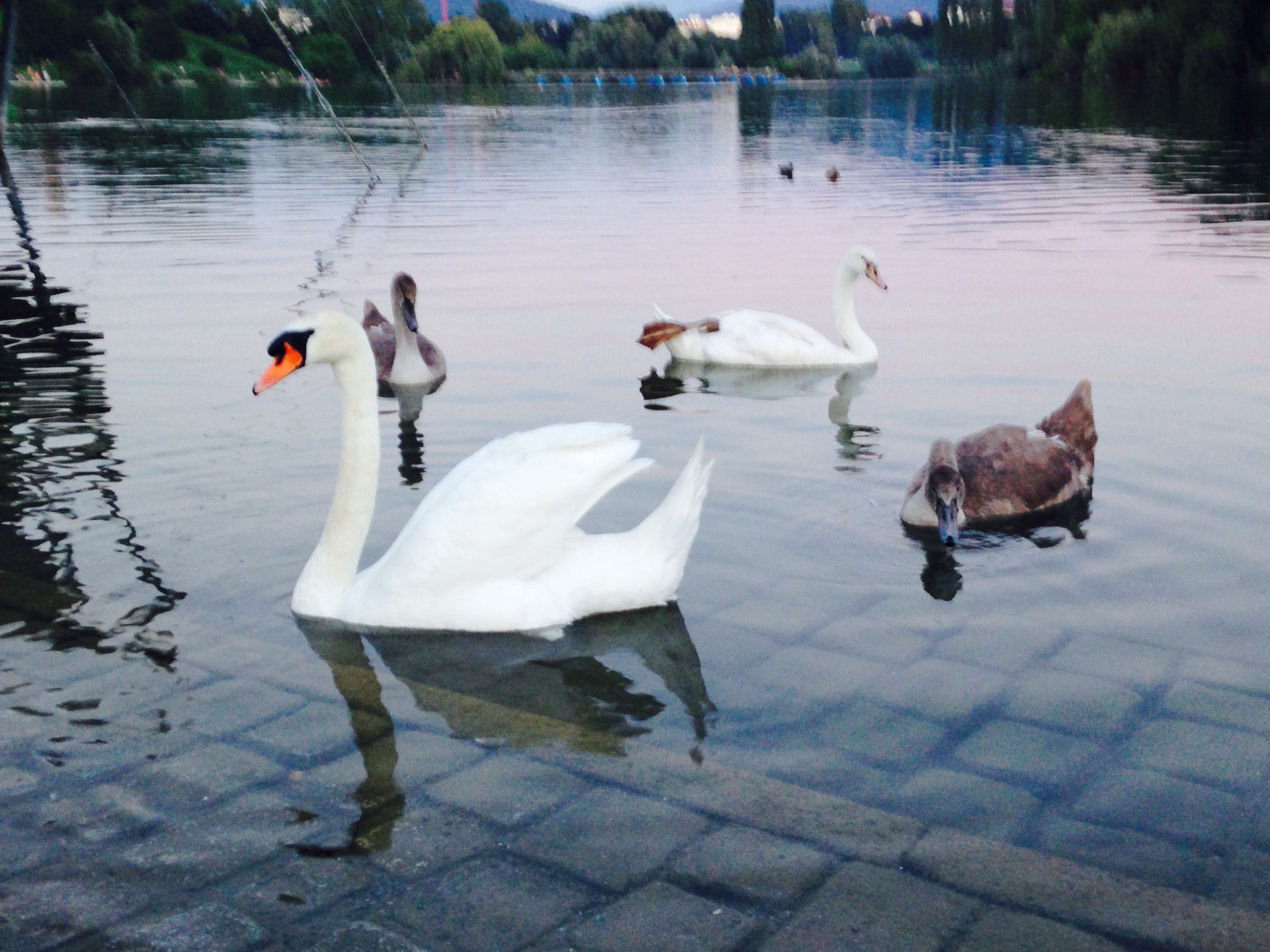 Profile picture for user inmasan