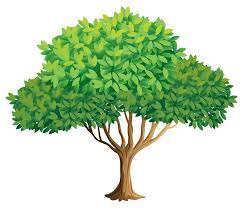 Profile picture for user RaquelMoleiro