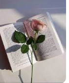 Profile picture for user baraa81