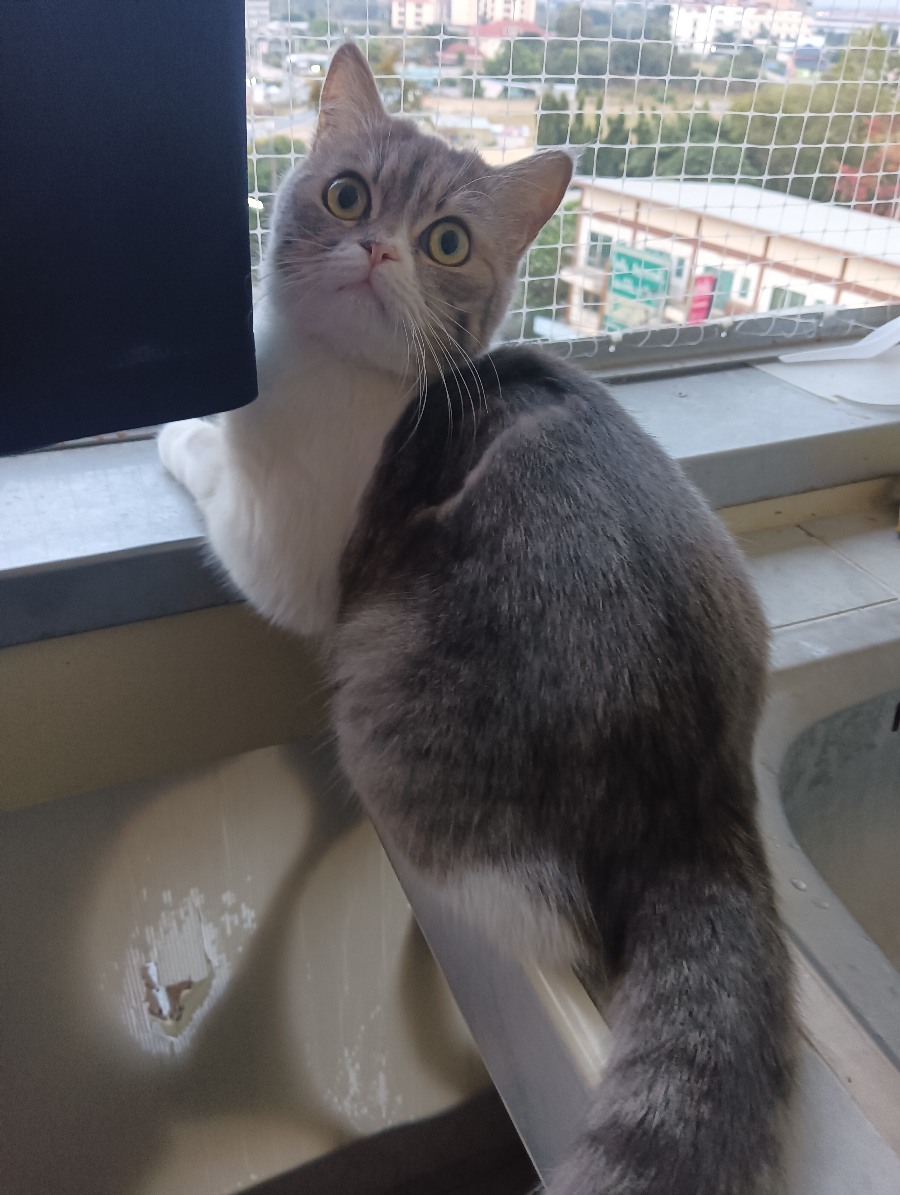 Profile picture for user MNerunchala