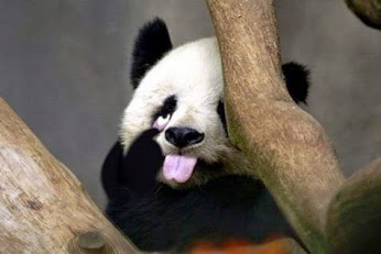 Profile picture for user junlathaida45852