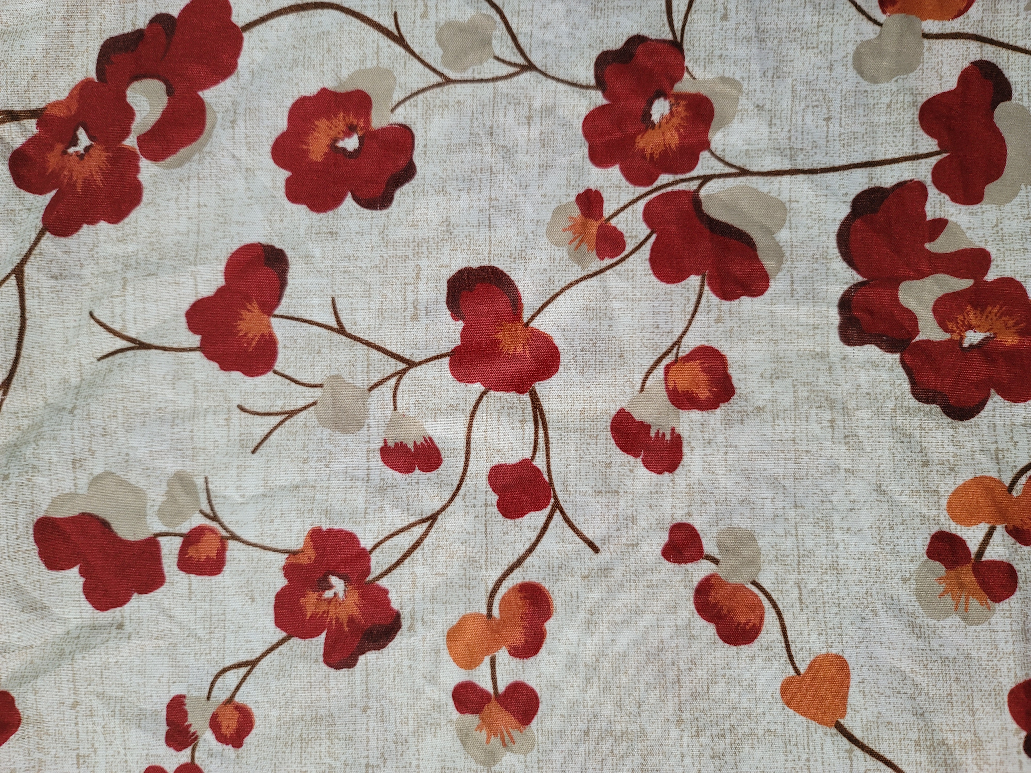 Profile picture for user Amador