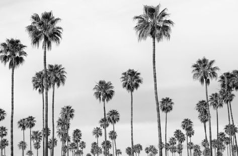 Profile picture for user SaraGarHer