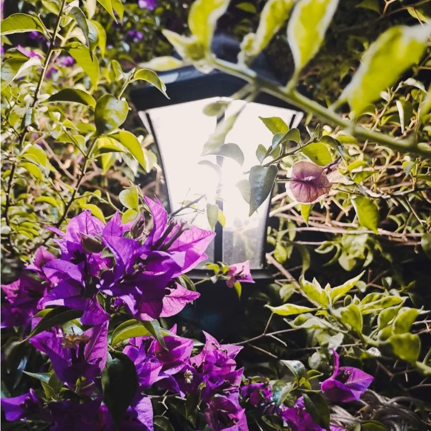 Profile picture for user nadEtal