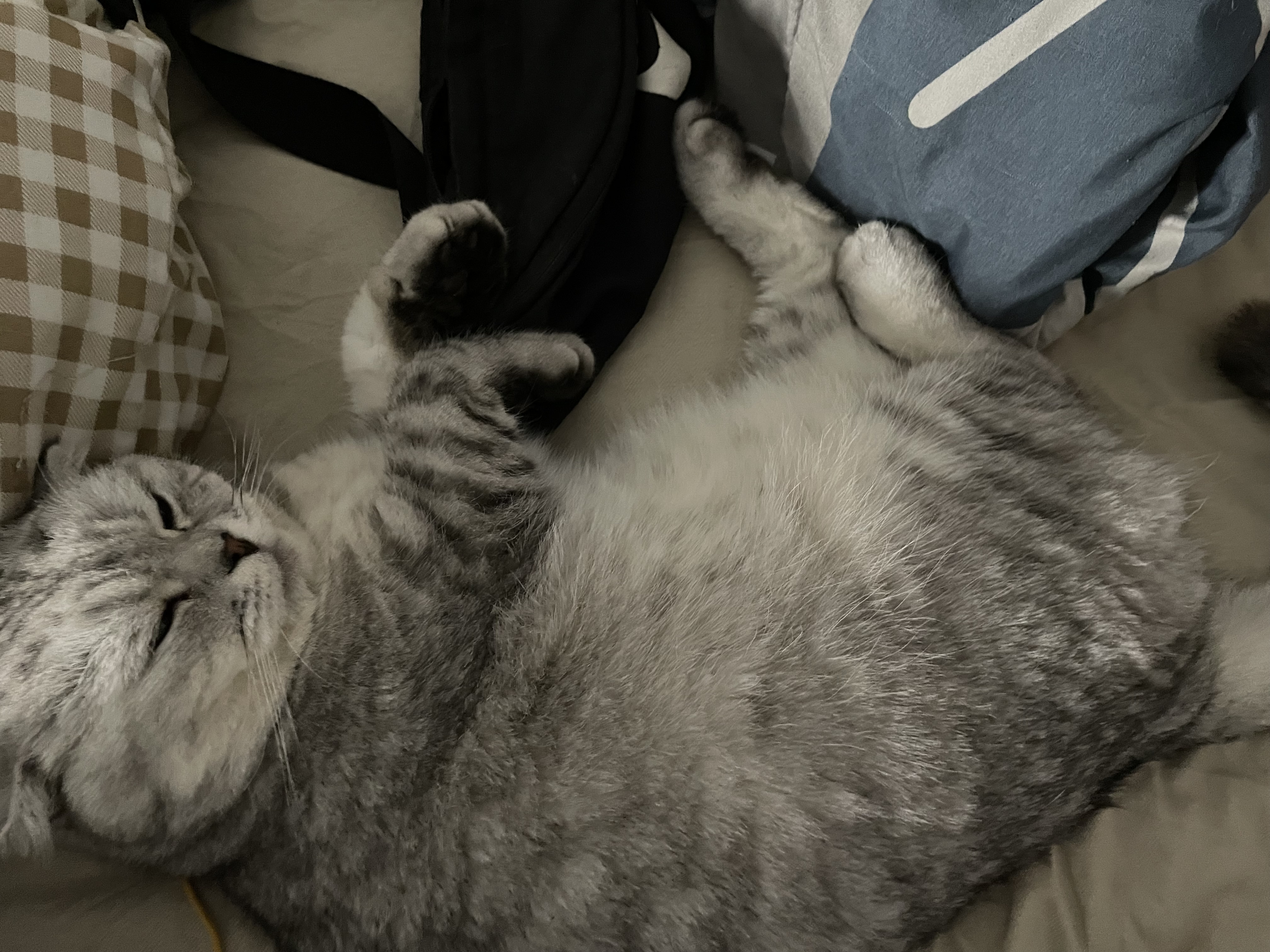 Profile picture for user March1234