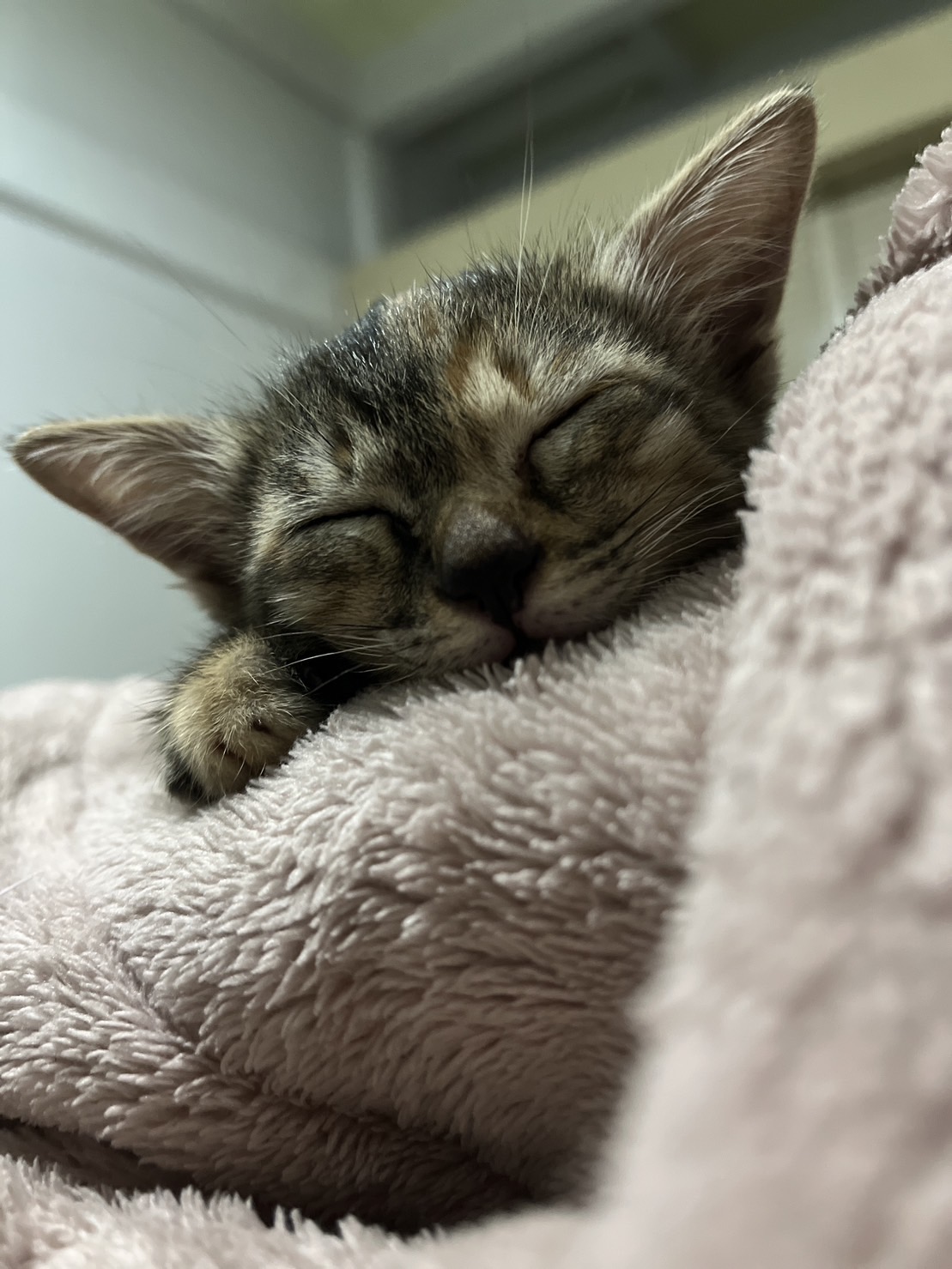 Profile picture for user nummjirapa