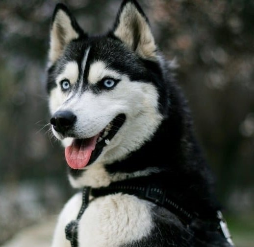 Profile picture for user erika_barahona