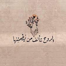 Profile picture for user omayma1234