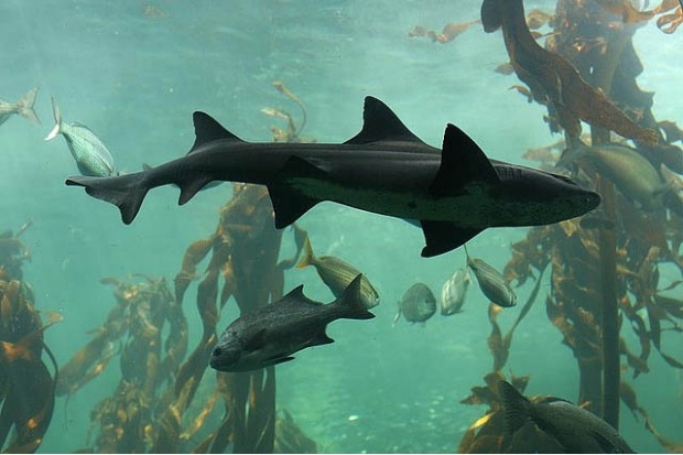 Profile picture for user Emirusmiyanah04