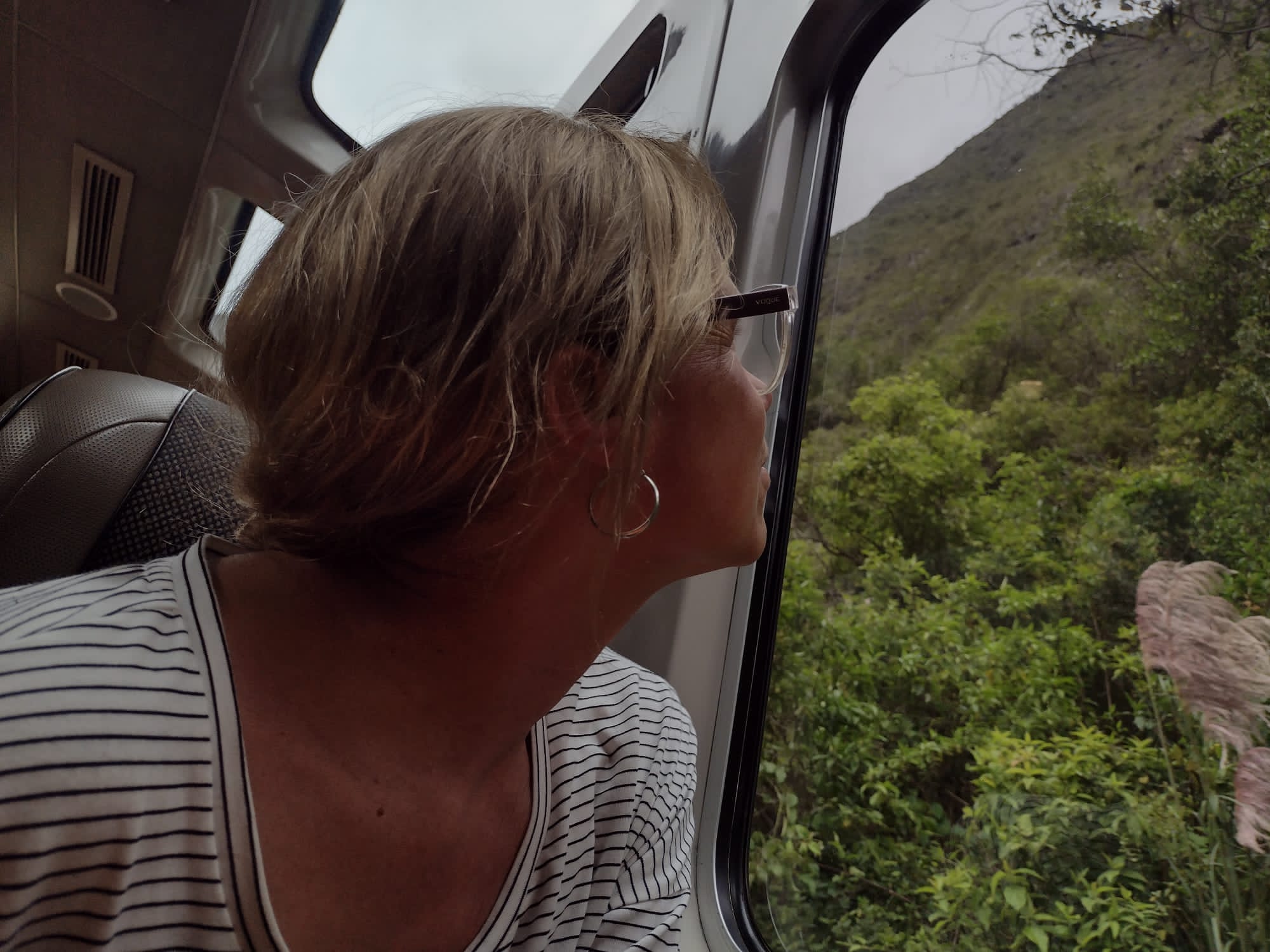 Profile picture for user SONIACHAVES