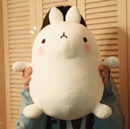 Profile picture for user eliteach4701