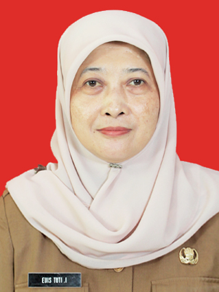 Profile picture for user Euistuti