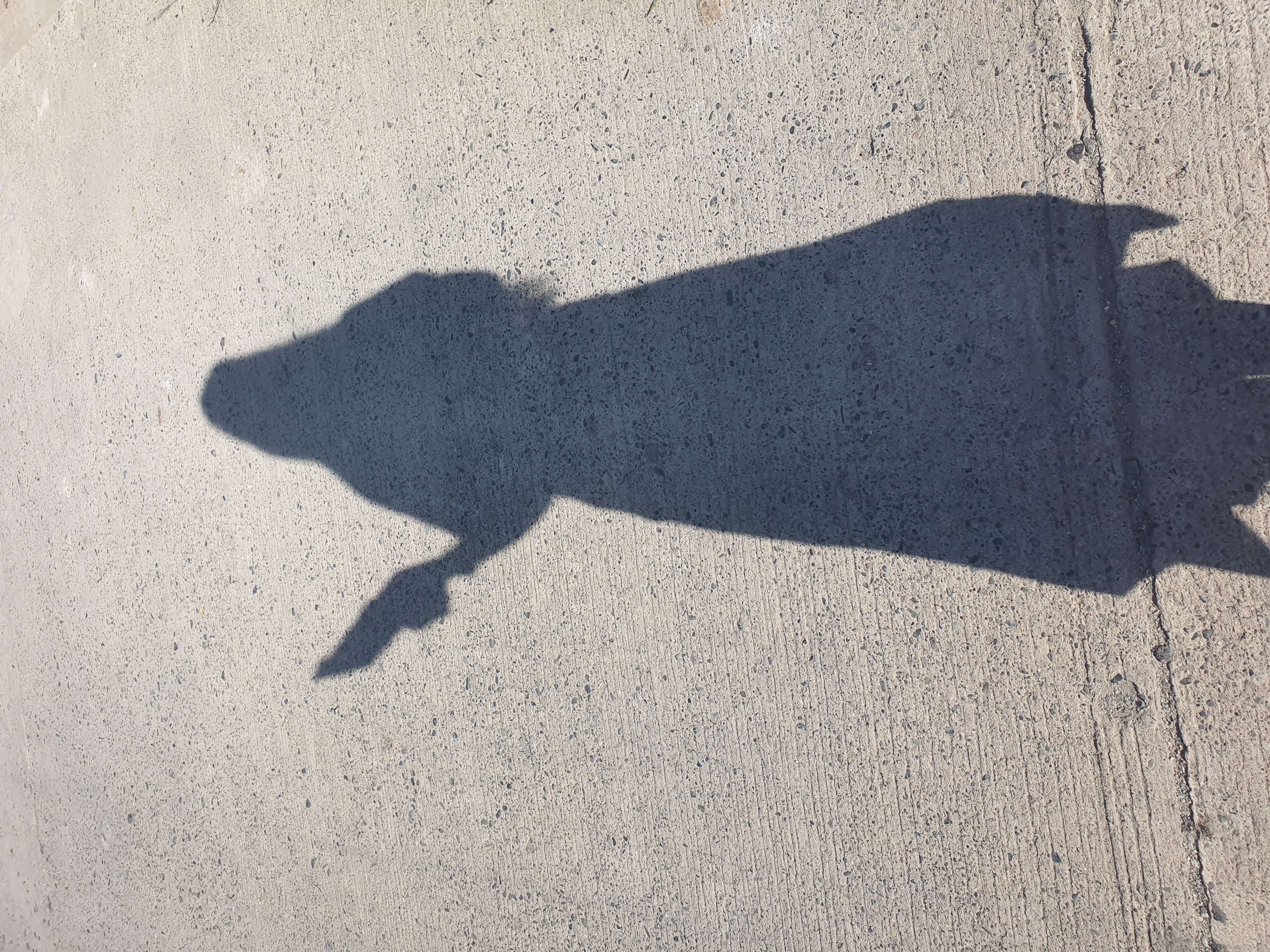 Profile picture for user Rosalina_471