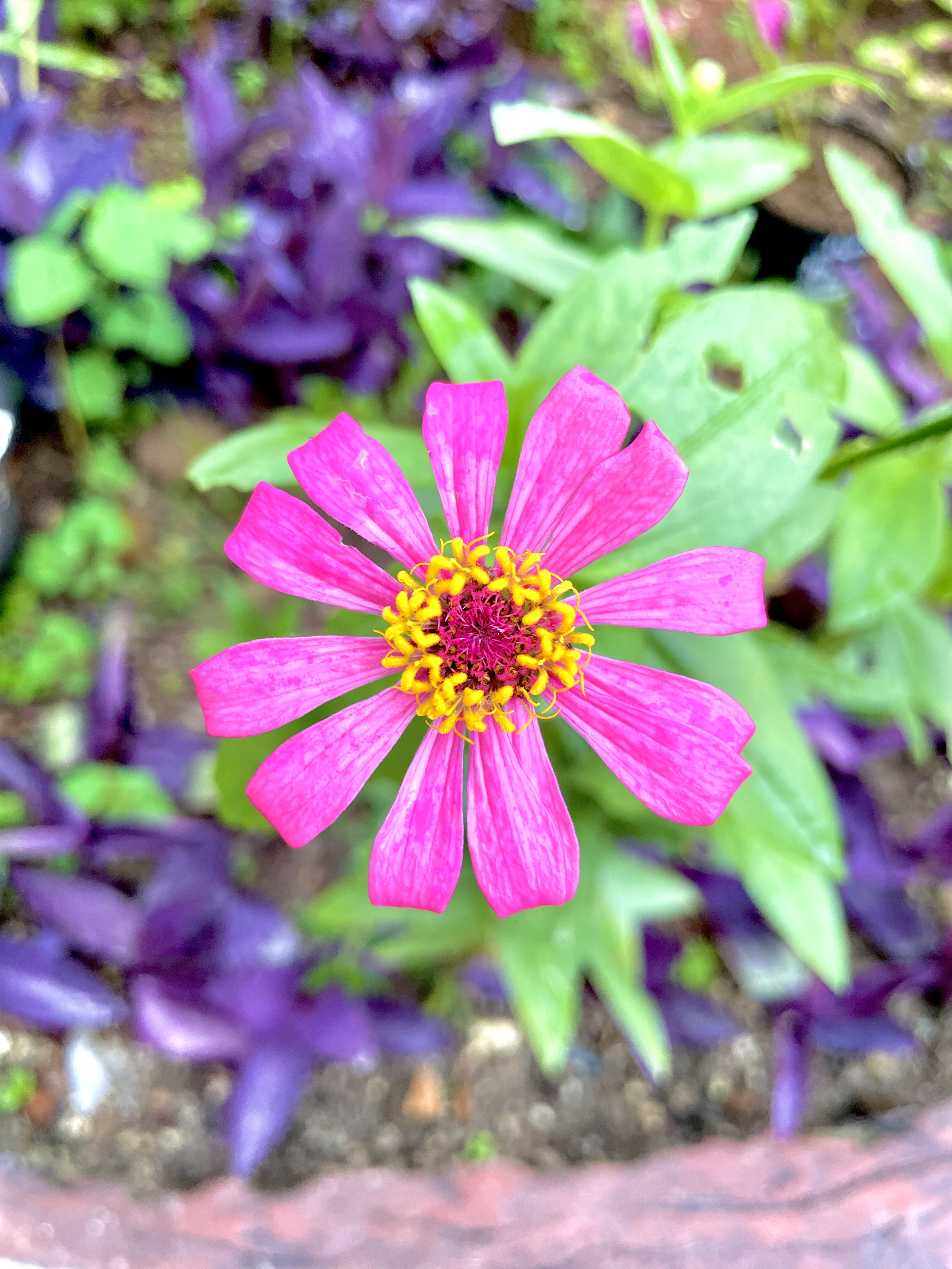 Profile picture for user Riribaikcantik03