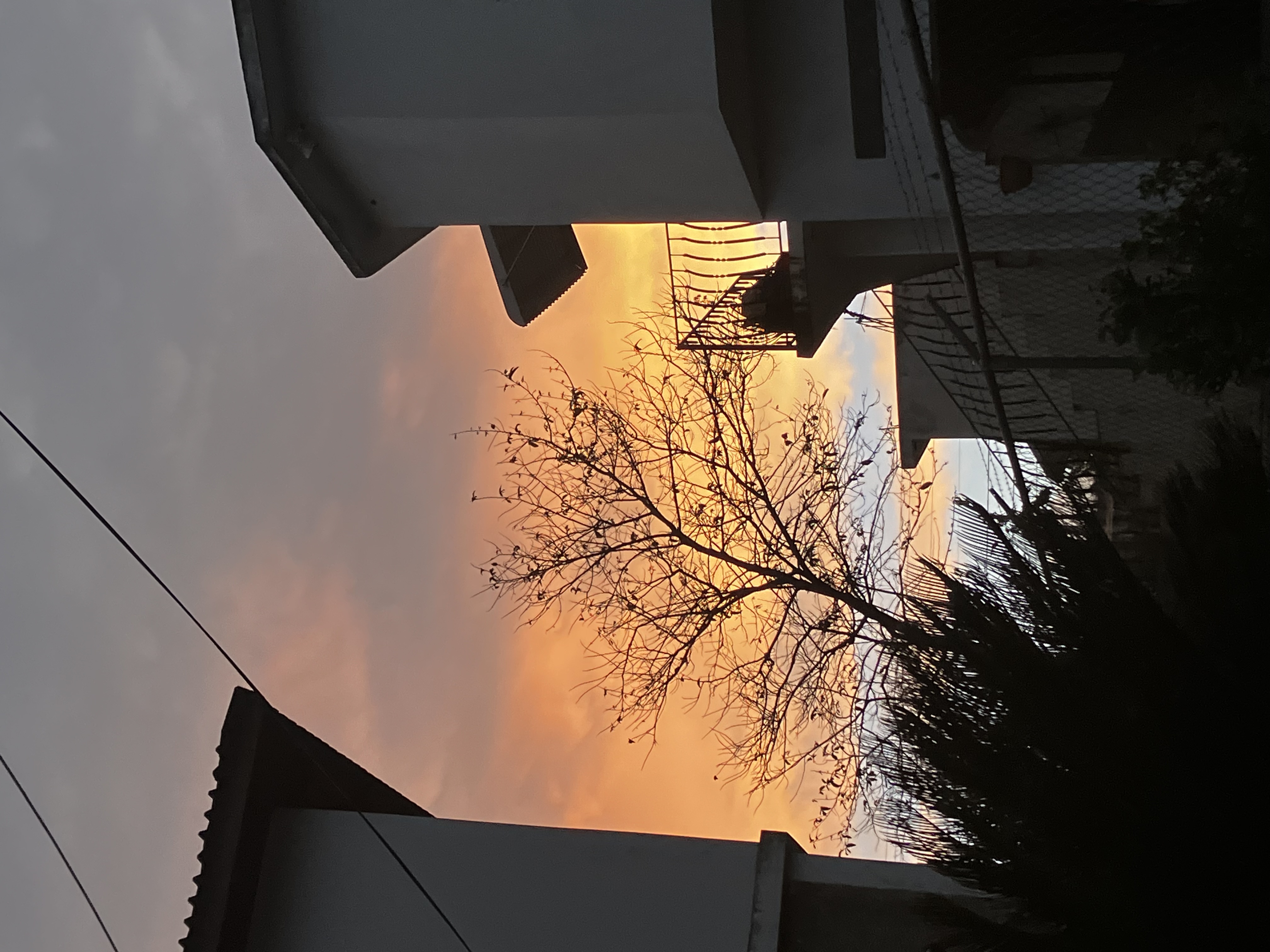 Profile picture for user LitAri8school