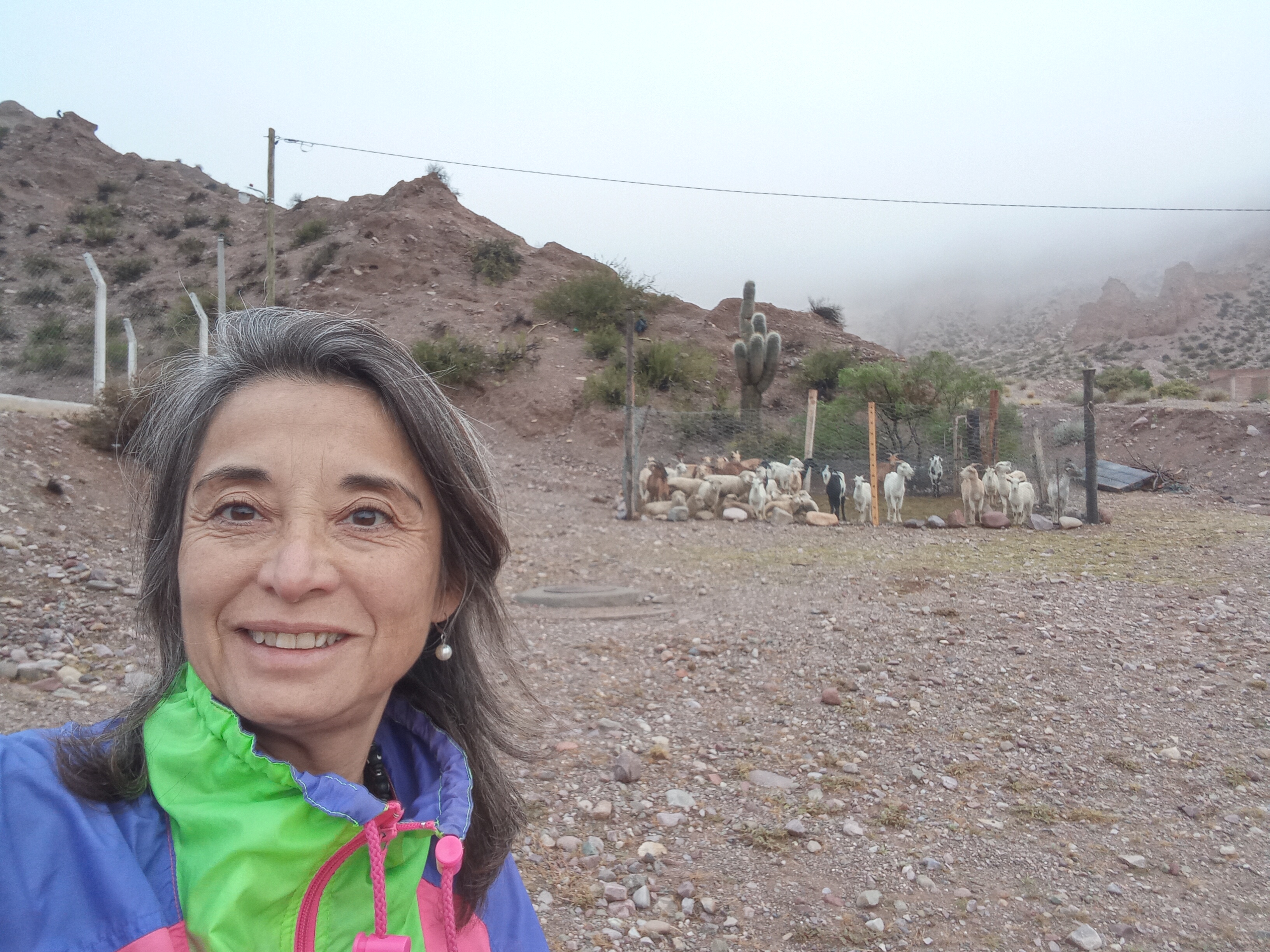 Profile picture for user Teacher992