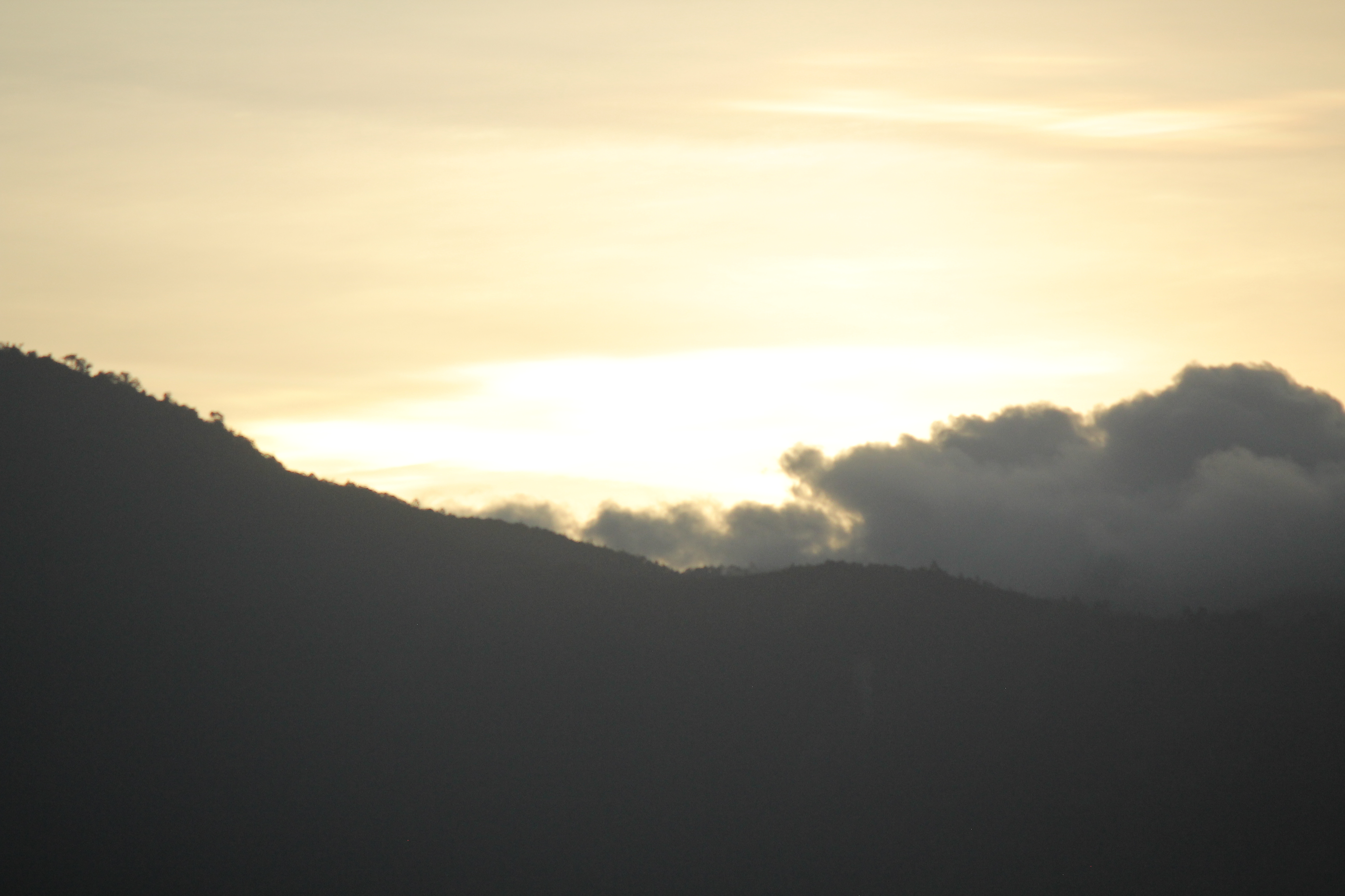 Profile picture for user Nihongo_No_Shiken