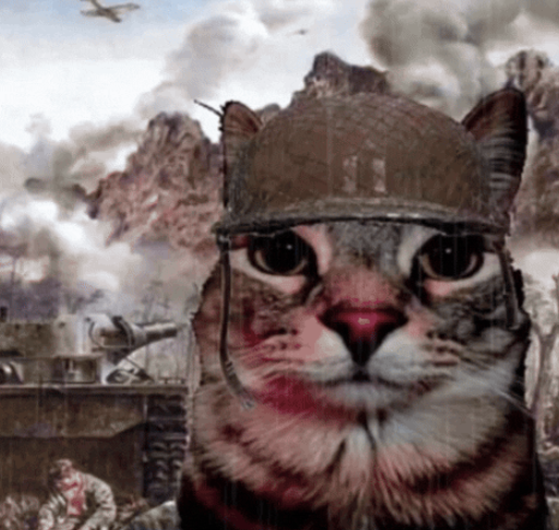 Profile picture for user GiengGieng