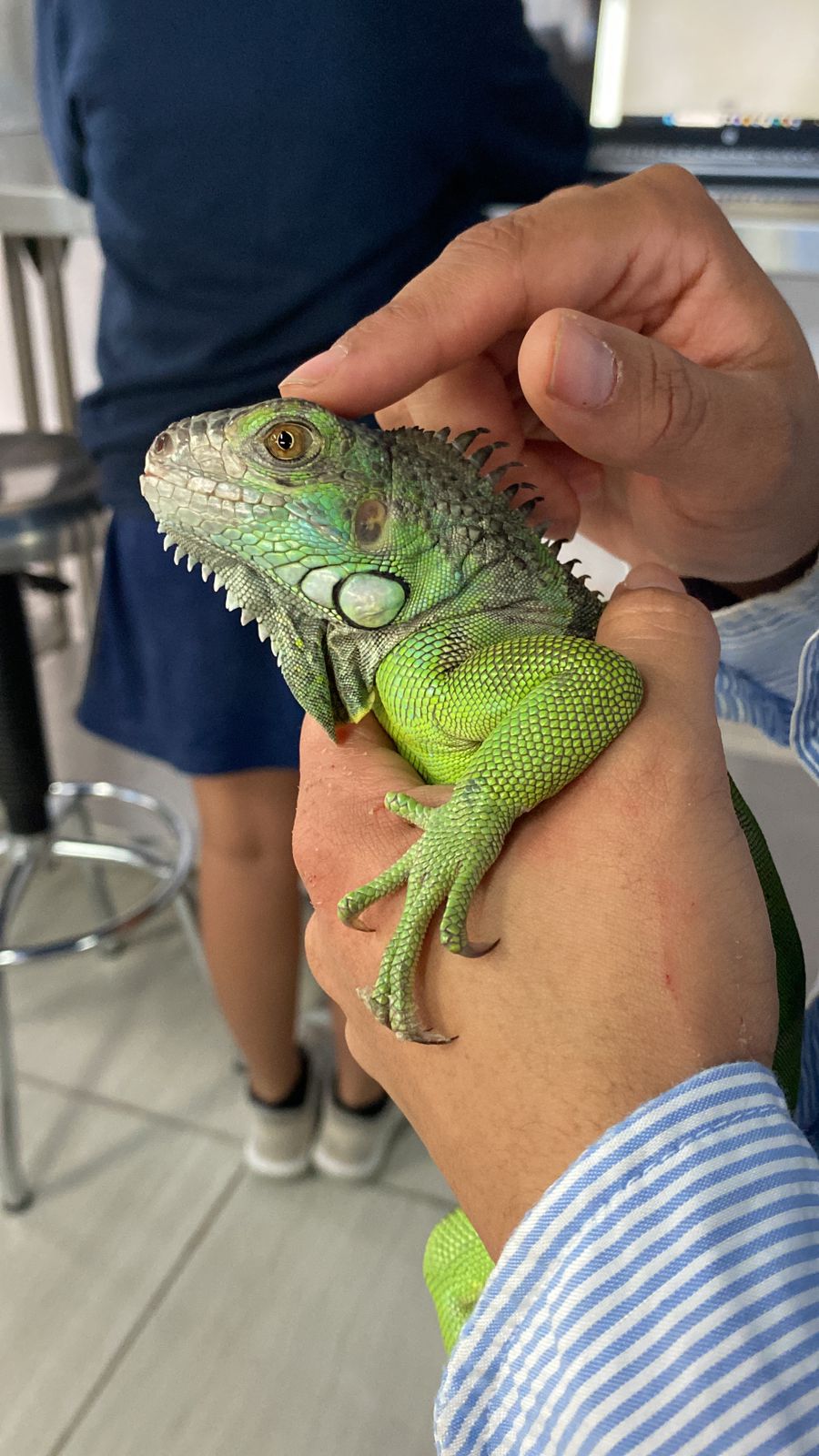 Profile picture for user yedidroman