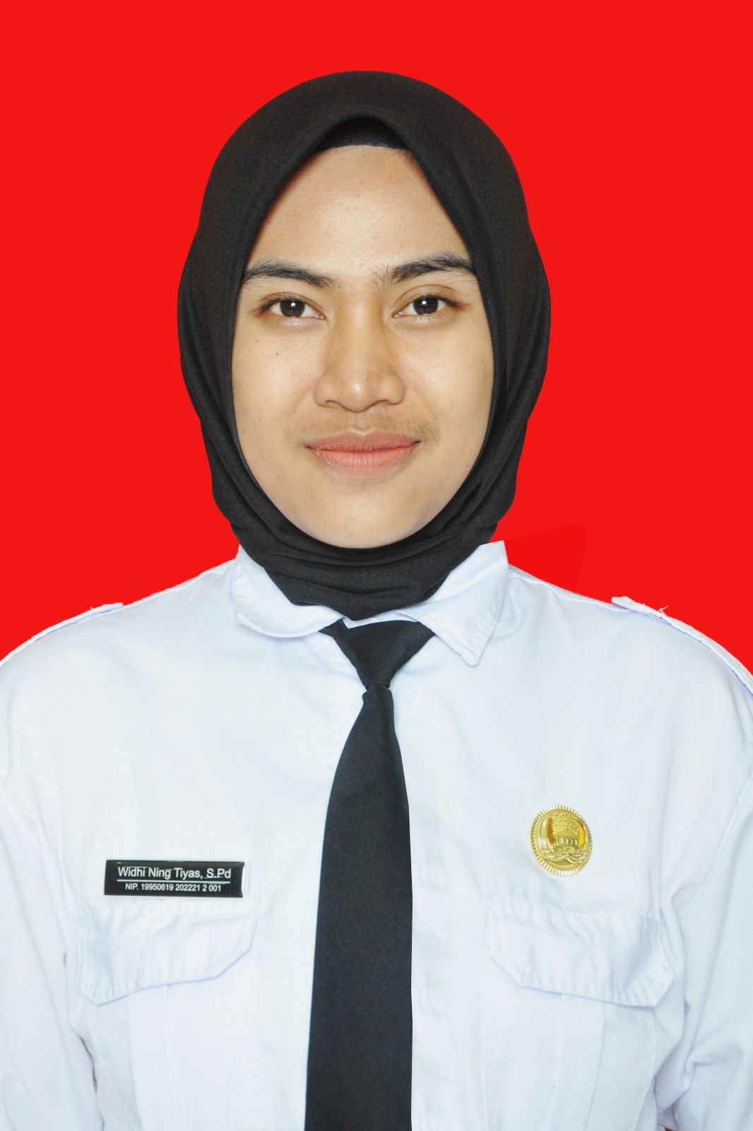 Profile picture for user Widhi95