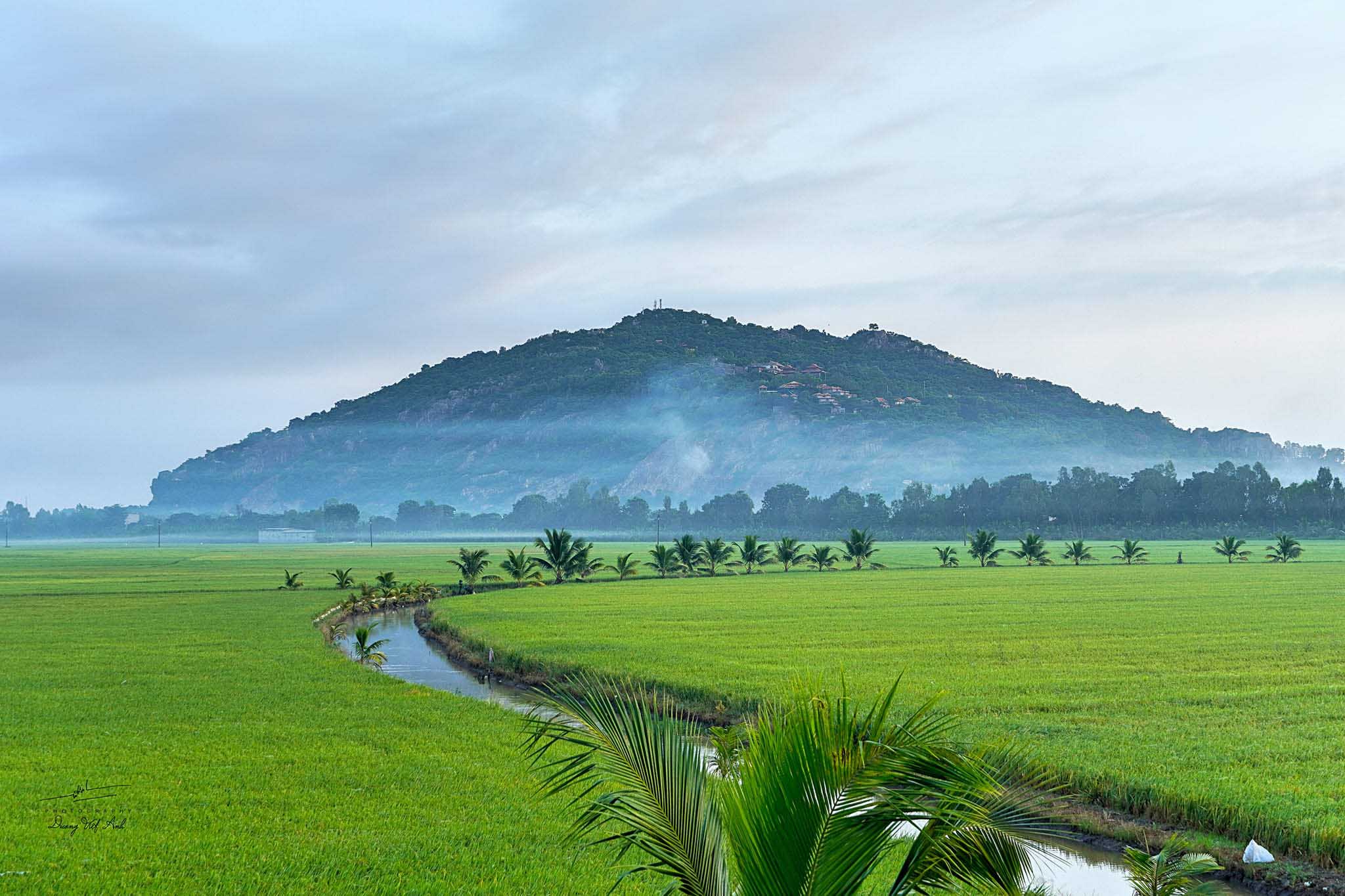 Profile picture for user minhha80ag