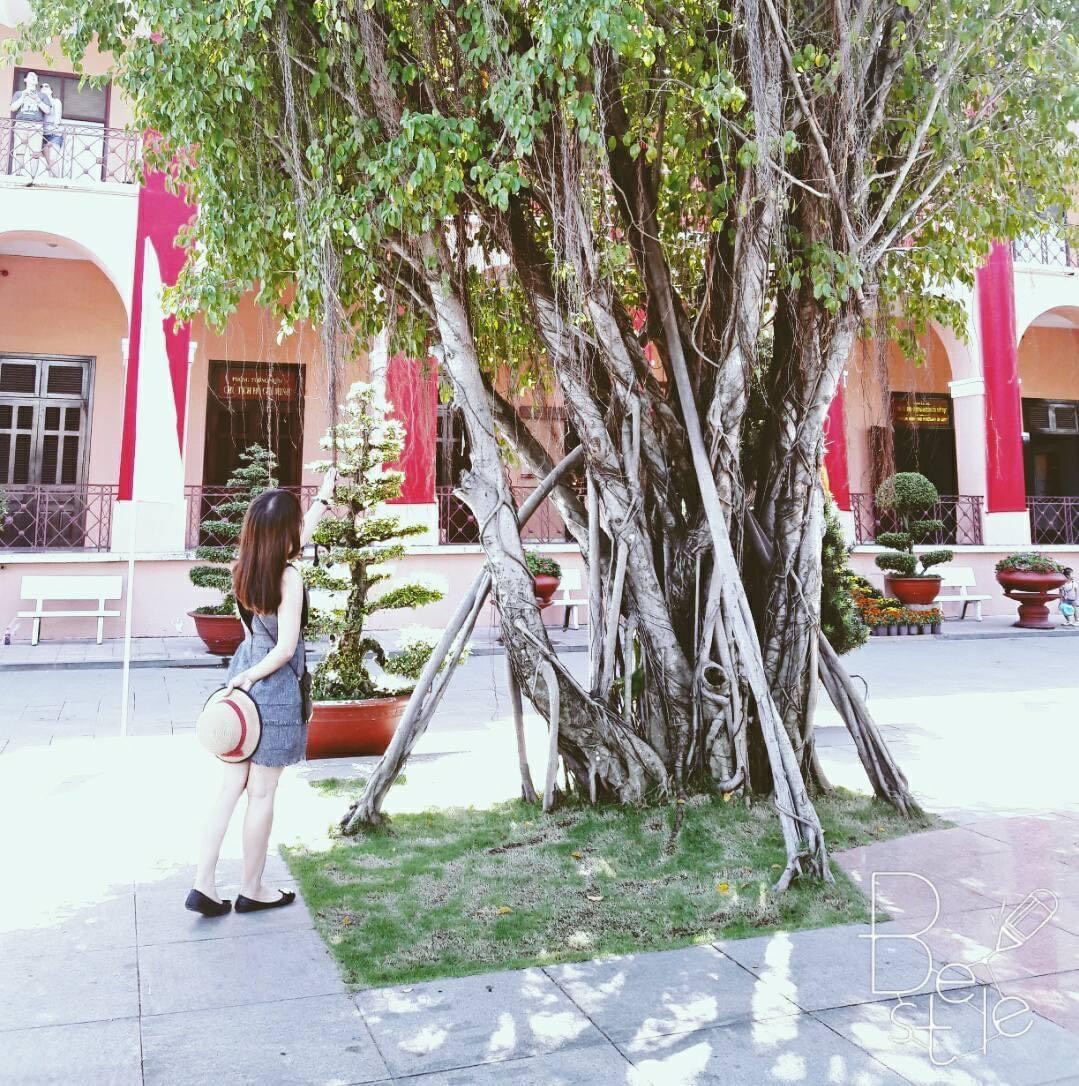 Profile picture for user tranthily03