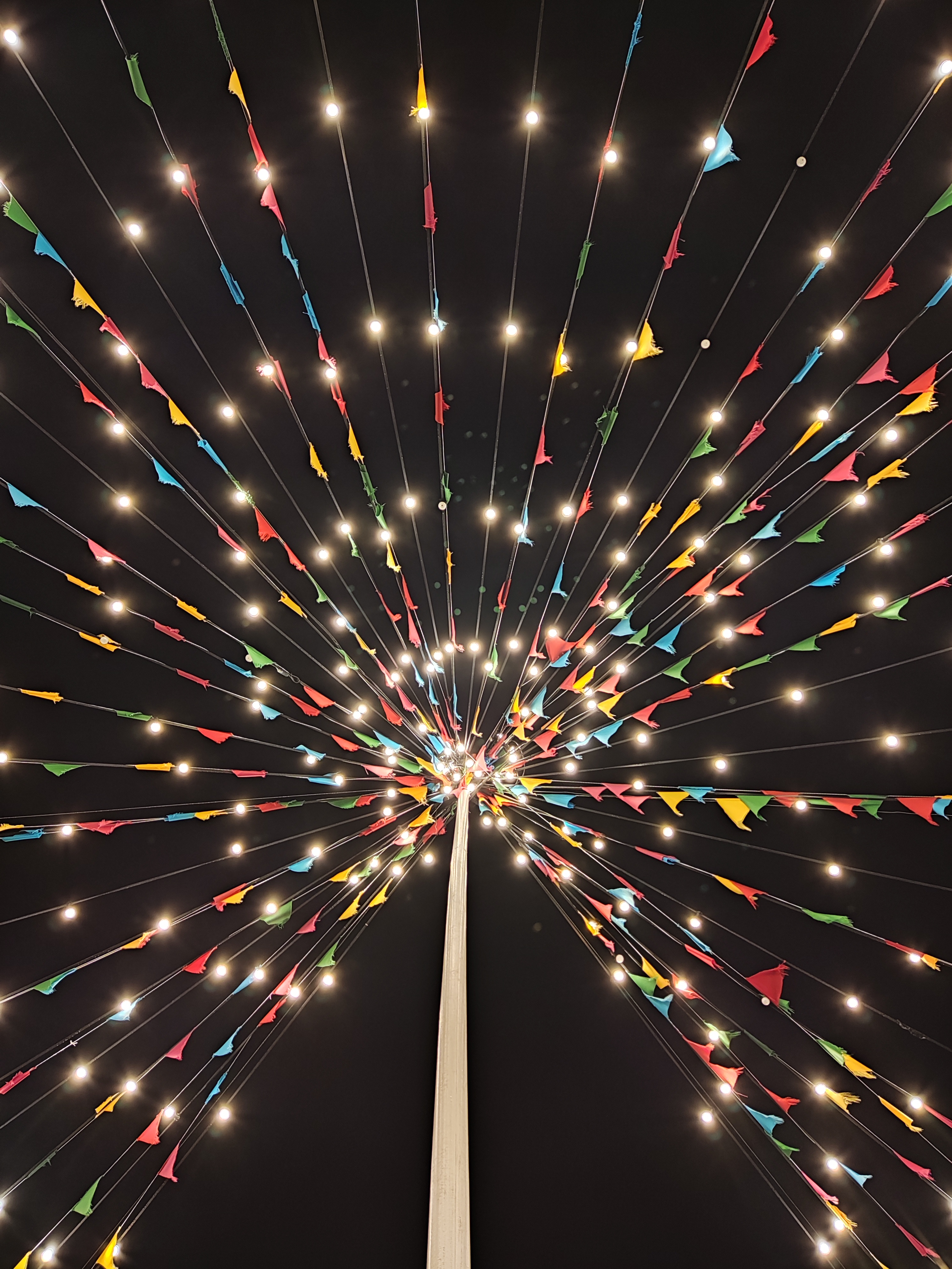 Profile picture for user ElenaAnton