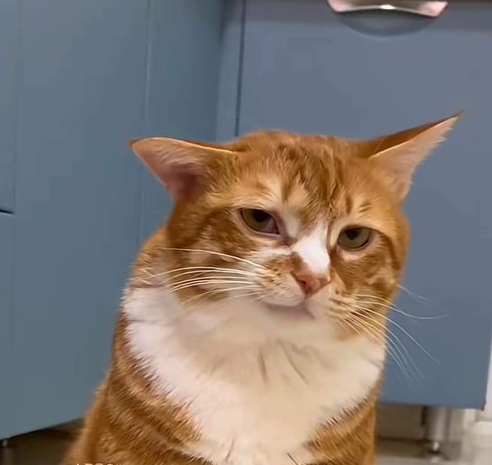 Profile picture for user Richita