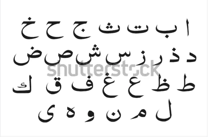 Profile picture for user mahdiamenad