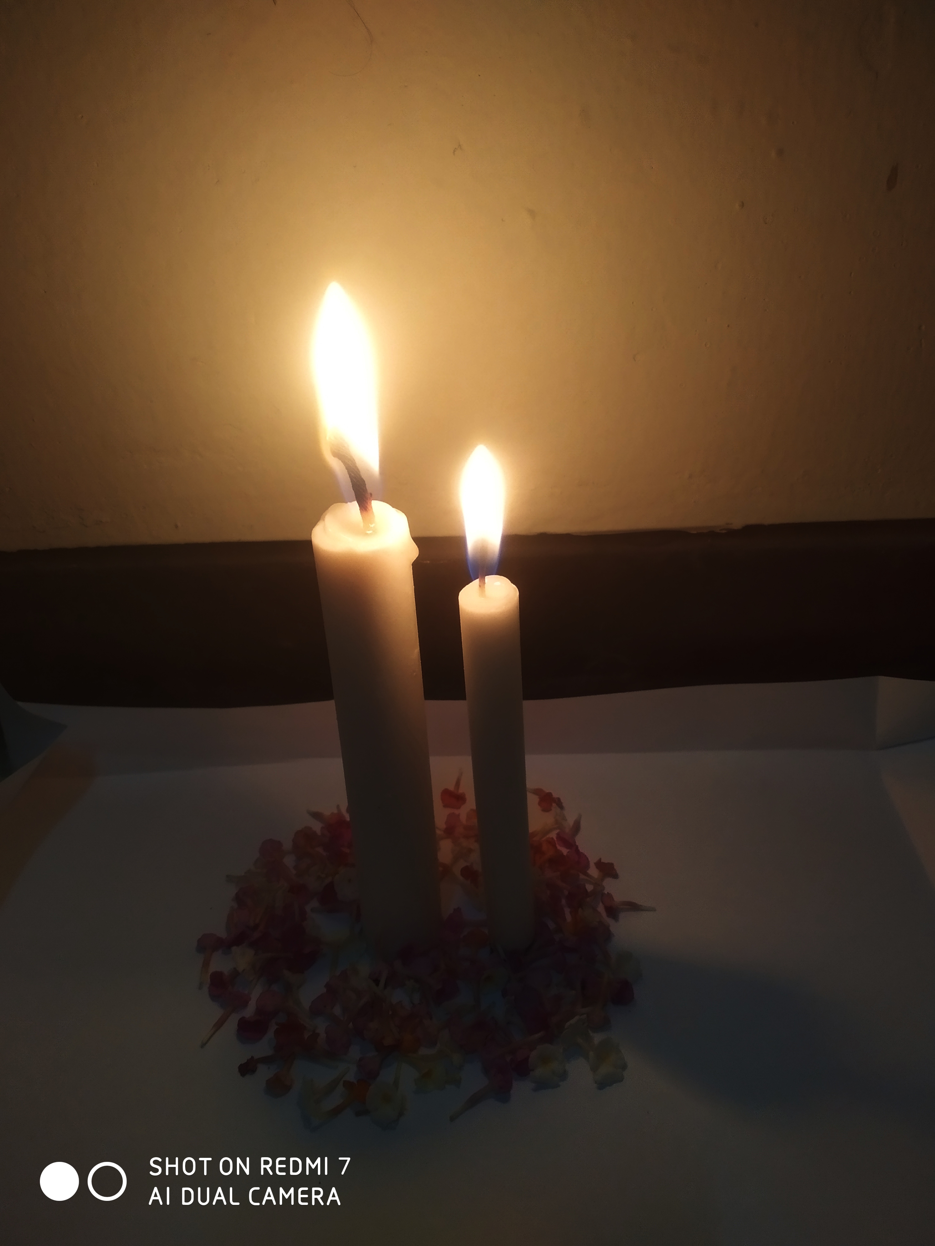 Profile picture for user ansinaifio95