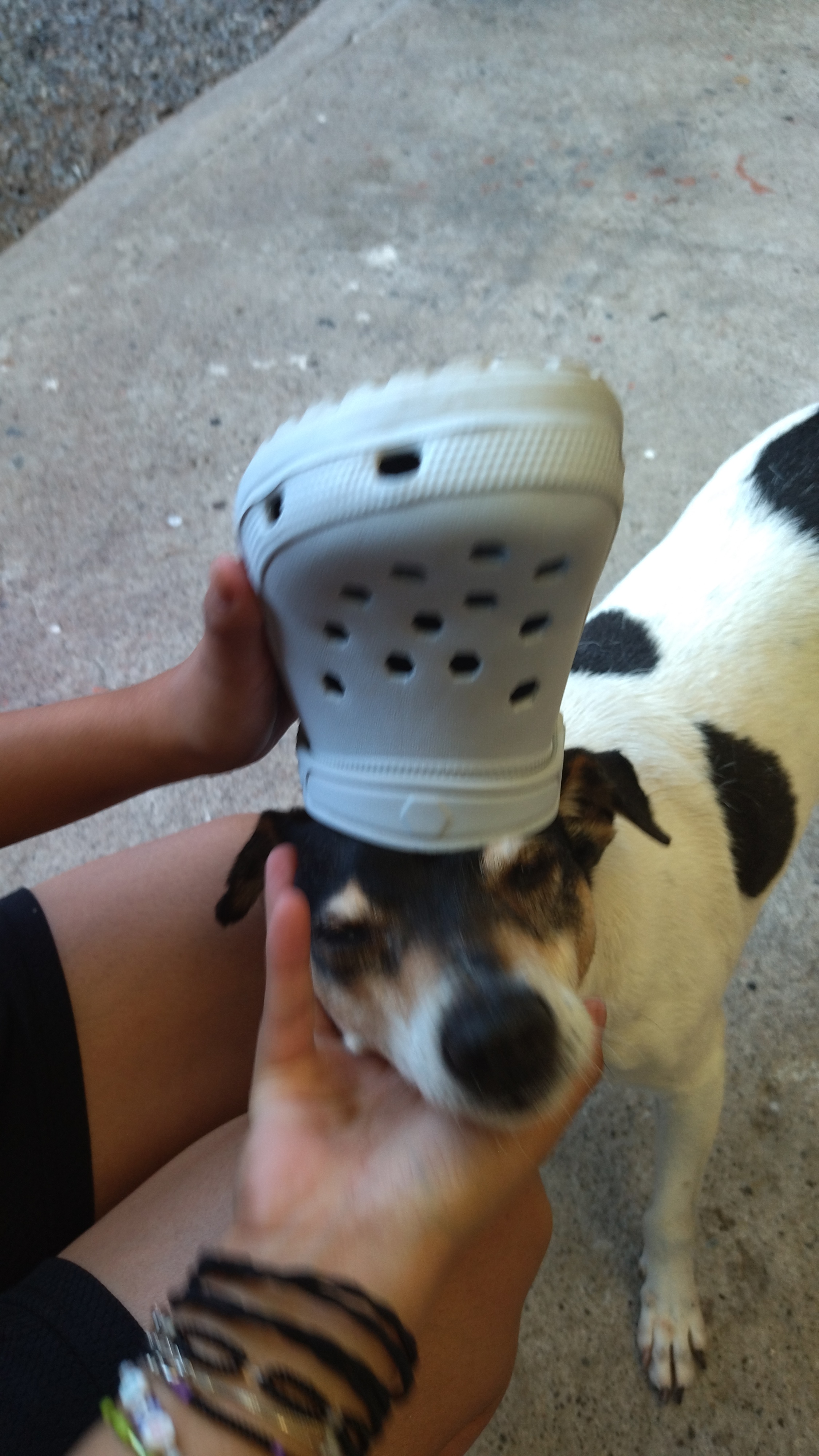 Profile picture for user Tonysito09