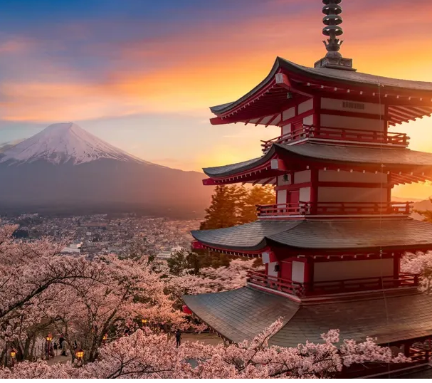 Profile picture for user POCOREY_FAC_TEC