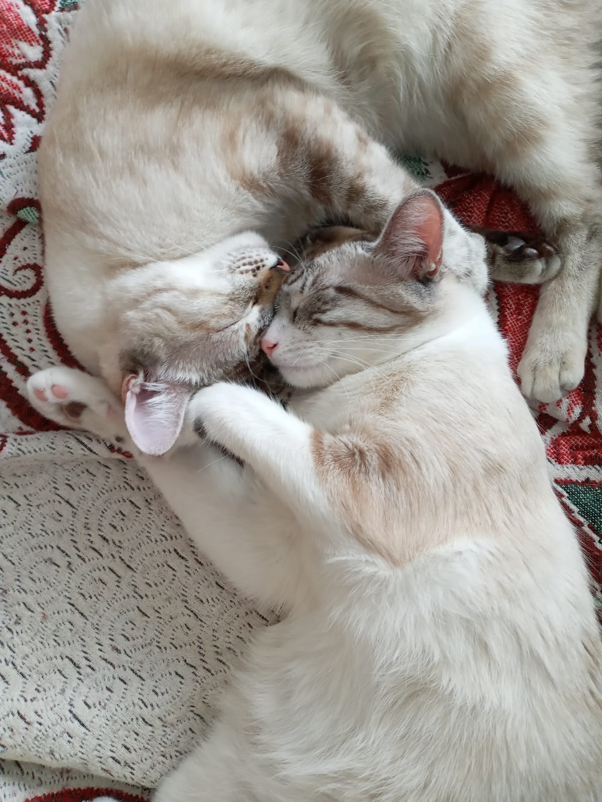 Profile picture for user violetazulbaran