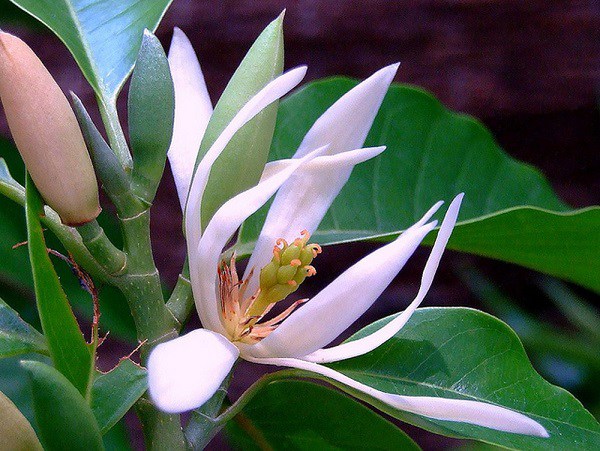 Profile picture for user Nathuong81