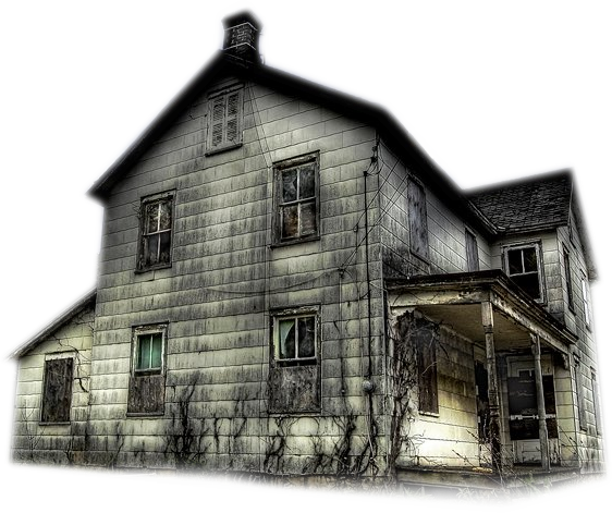 Profile picture for user Luis_margarida