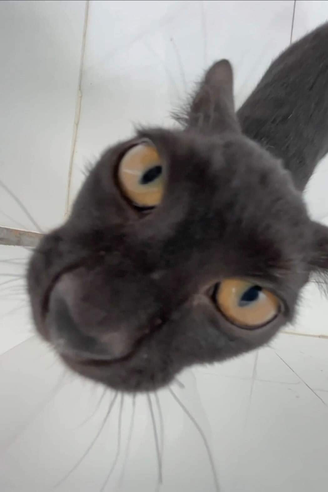 Profile picture for user mitu1304