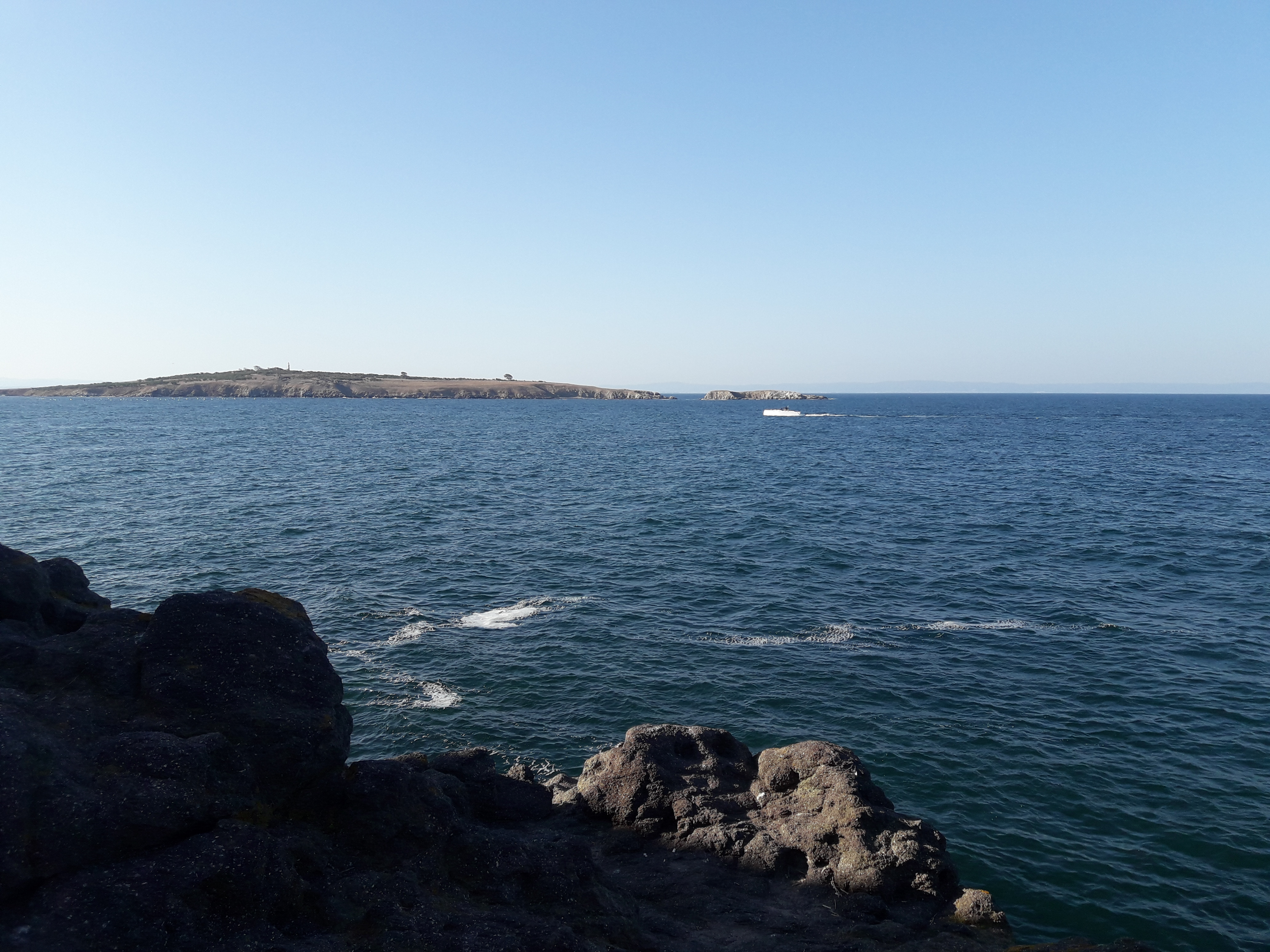 Profile picture for user NikolinaCh